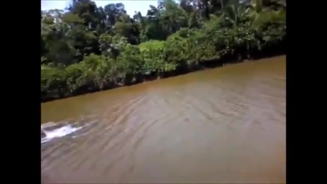 Mysteries in the Amazon River Brazil