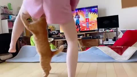 Cat refuses to let owner exercise