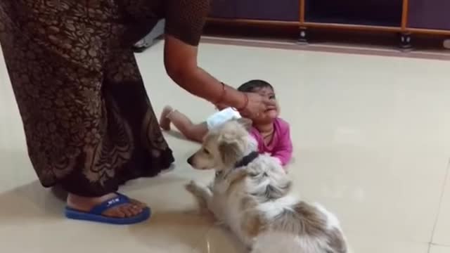 Dog protecting baby viral video