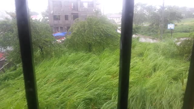 Super Typhoon flattens thick vegetation, then gets stronger