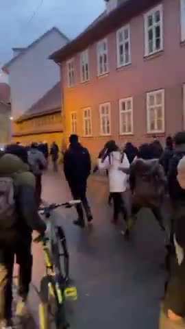 ERFURT DEMONSTRANTEN VERFOLGEN POLIZEI, NACHDEM DIESE ÜBERGRIFFIG WURDE
