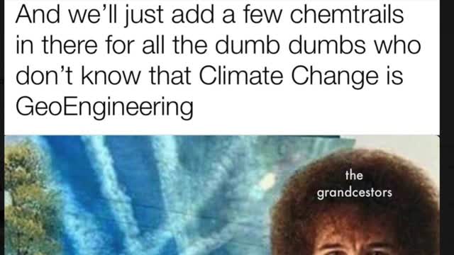 Meme Scroll 35