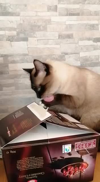 Master of disguise, Watch until the end