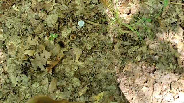 Find some trash and pick it up and all day you will have good luck