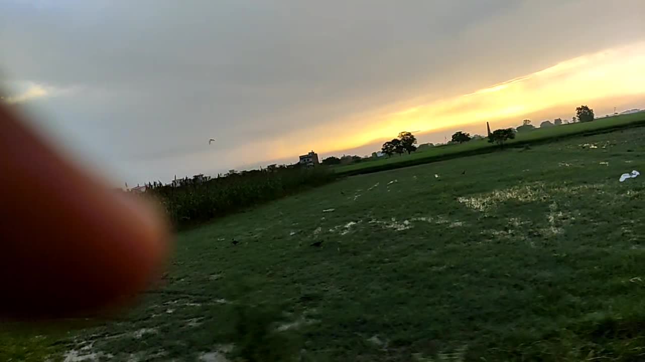 Beautiful morning