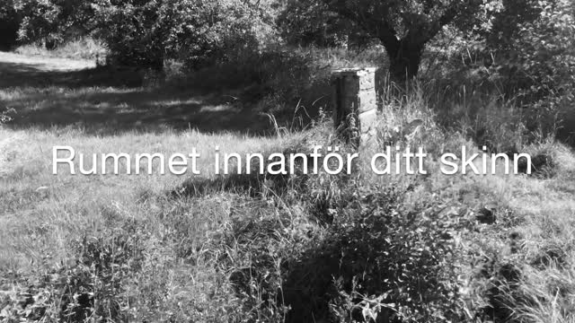 Teaser, Rummet innanför ditt skinn - Trabbant