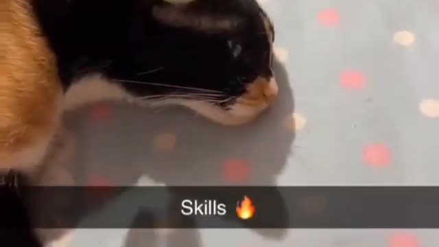 Wow what a skill 🔥🔥