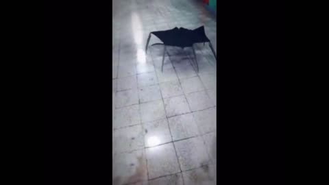 Umbrella spider with sound