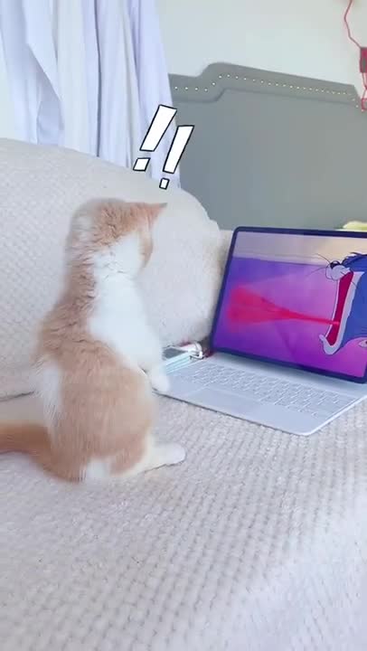 Fun Pet Care Game - Little Kitten Adventures (New Update) - Play Costume Dress-Up Party Gamepaly