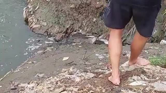 Saving a Puppy Stranded on Muddy Embankment