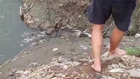 Saving a Puppy Stranded on Muddy Embankment