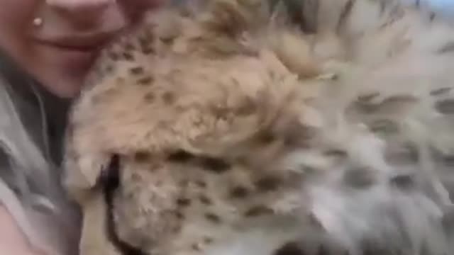 Pure love By pure love chavak animals