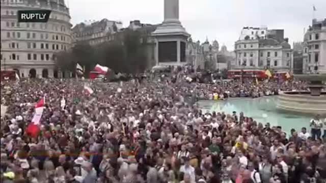 HALF A MILLION PROTESTING AROUND THE WORLD