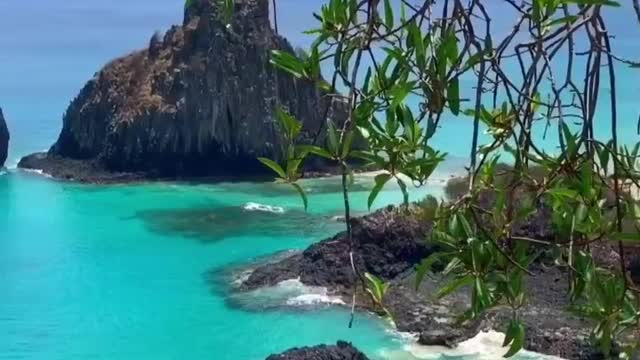 Fernando de Noronha Brazil !