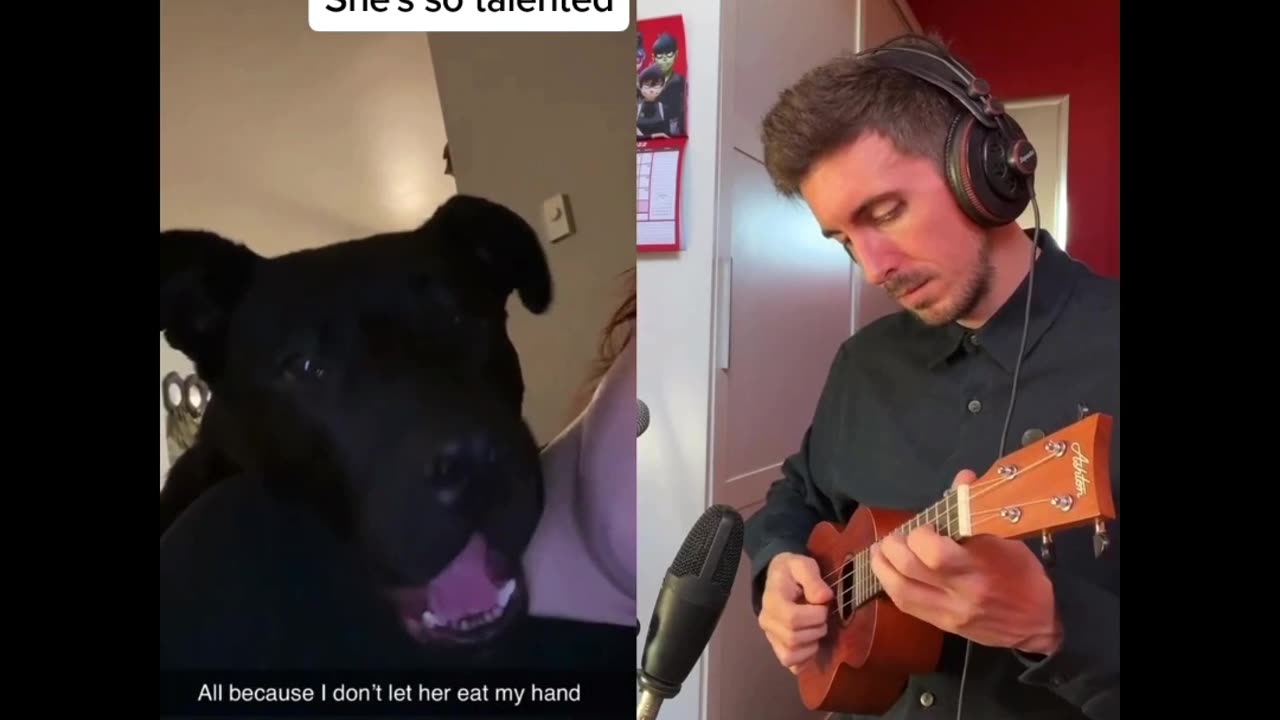 dog singing it's true "Rumble viral" 'Unforgettable Moments'