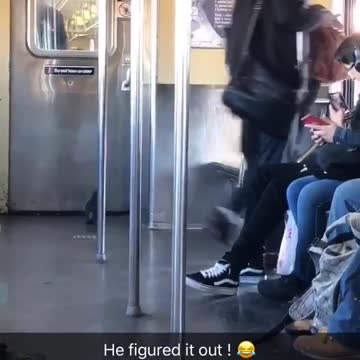 He figured it out pigeon in train