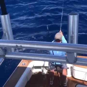 Blue Water/ Blue Marlin