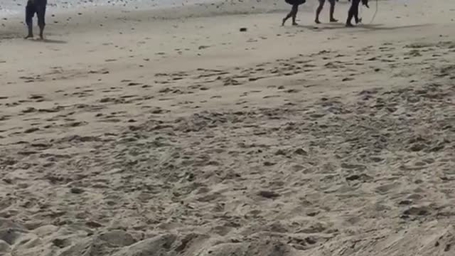 Guy filming behind two girls and guy with surfboard on beach