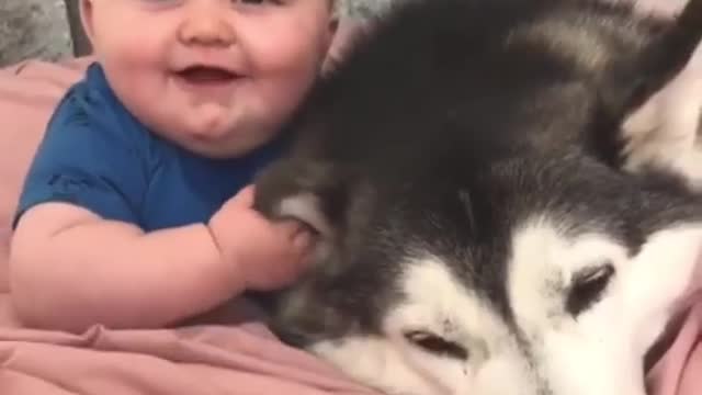 My baby and dog happy moment || My love cute puppy