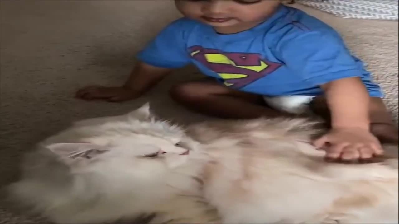 Baby and Cat Fun and Cute - Funny Baby Videos