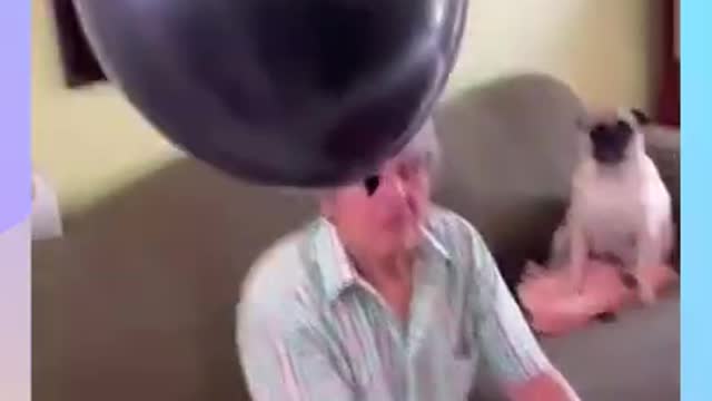 Humans are weird
