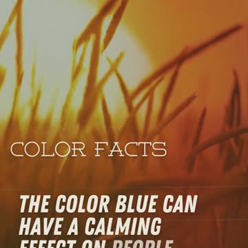 Color Facts