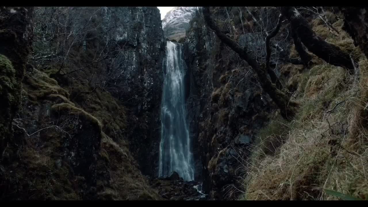 The best relaxing music in the world