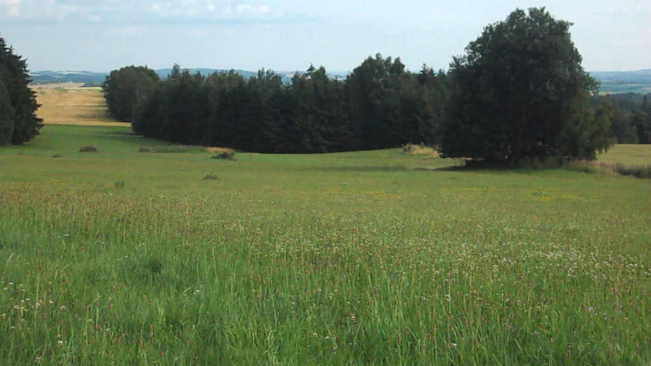 MY GORGEOUS SWEET HOMELAND, MY LOVED GREEN SURROUNDINGS.