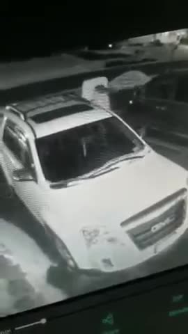 Haley's brand new glasses