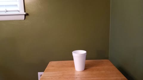 Magic Cup Party Trick