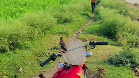 The same way you food to eat and then I can do