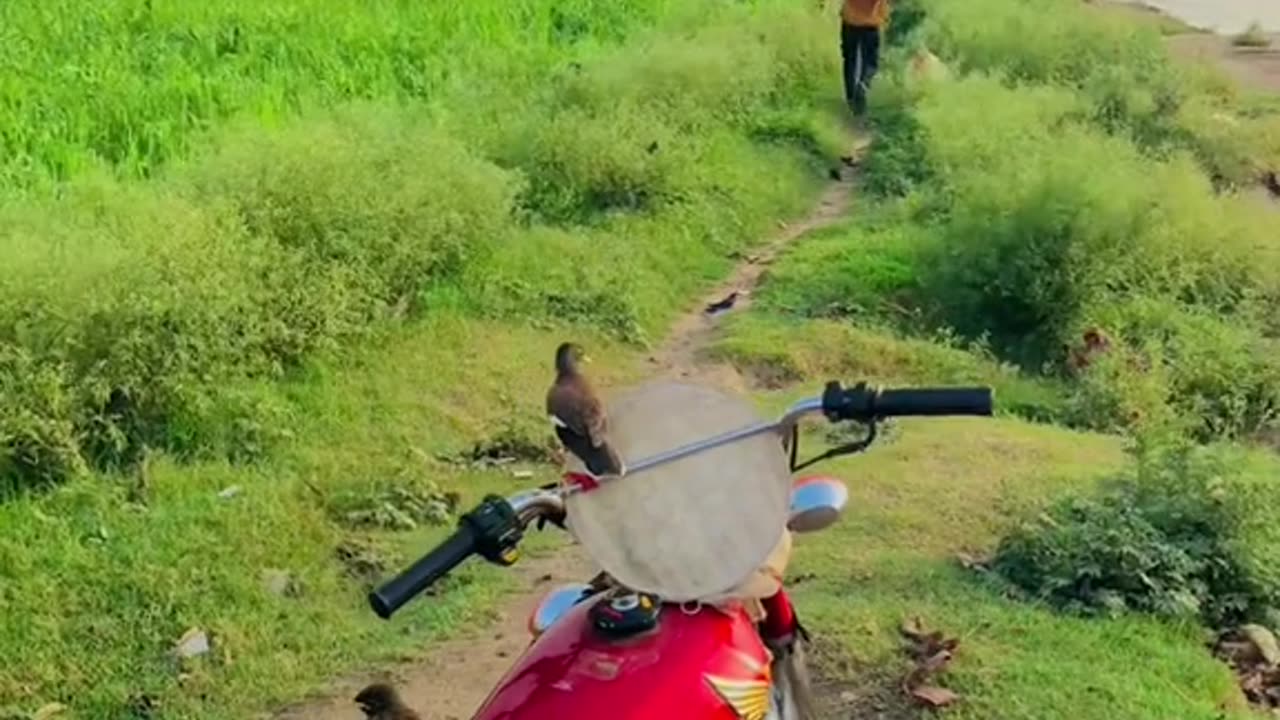 The same way you food to eat and then I can do