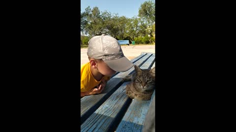 An incredible meeting with a cat