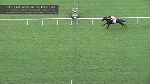 Horse_Race_2022061206_English