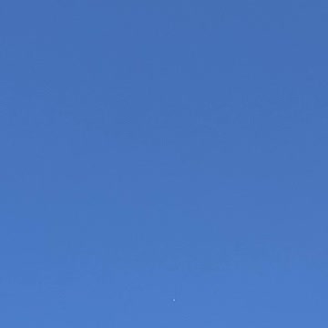 UFO or angel appearance?