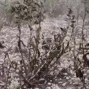 Attention! The global threat is escalating! ❗️