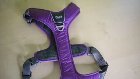 Test of DOG COPENHAGEN harnesses!