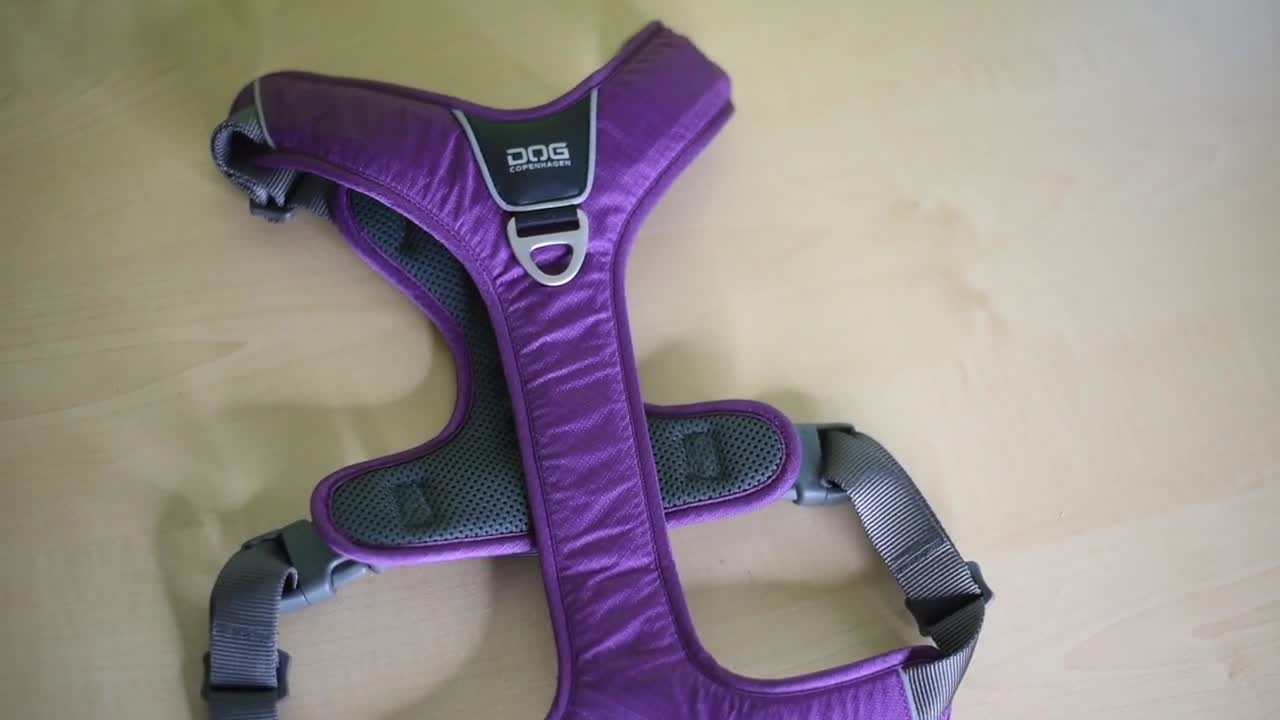Test of DOG COPENHAGEN harnesses!