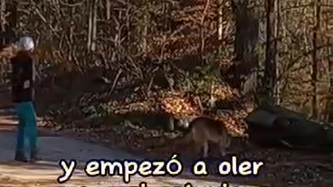 ELERRANTEMISTERIO86