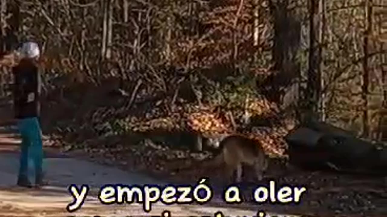 ELERRANTEMISTERIO86