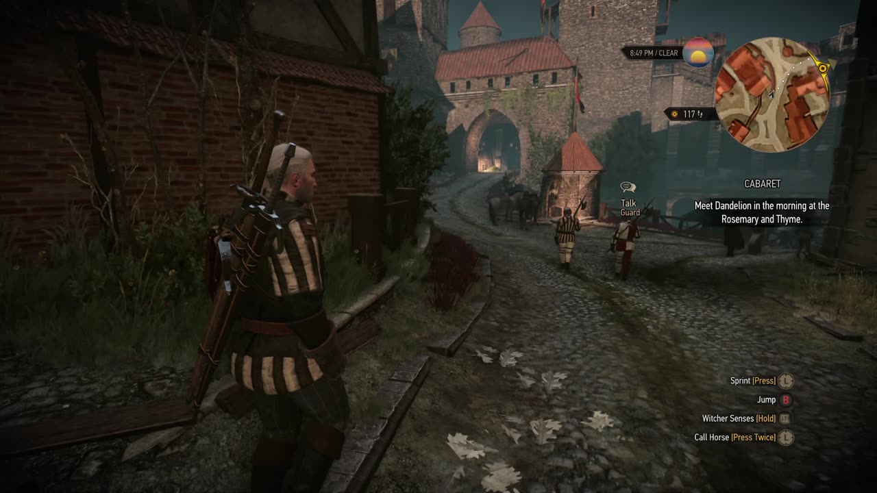 THE WITCHER 3 WILD HUNT Part 53