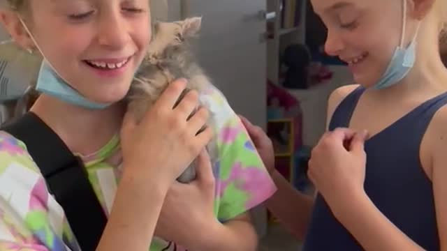 Twins Surprised by New Kitten Overcome with Joy