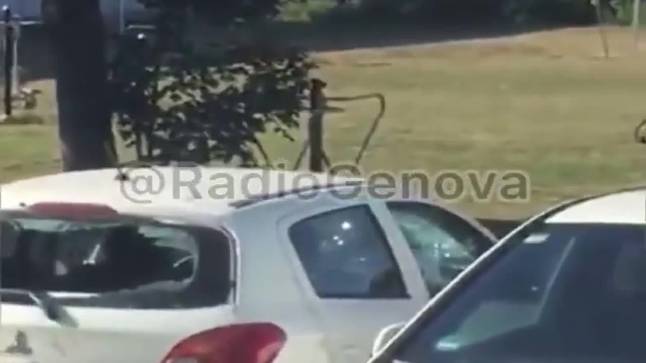 Is this the immigration we want?