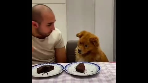 When Someone Messes With Your Food