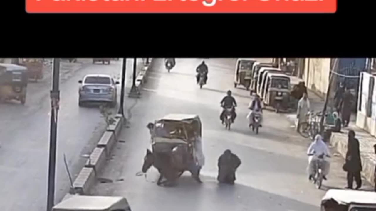 Stupid horse 🐎 man