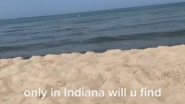 only in Indiana will u find the nicest beach ever