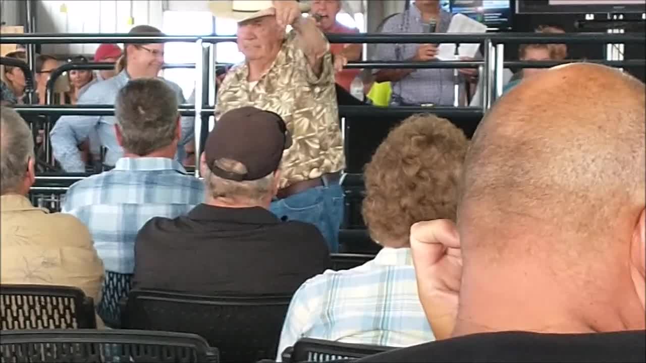 Waukesha County Fair 2021, Live Stock Auction Highlights!