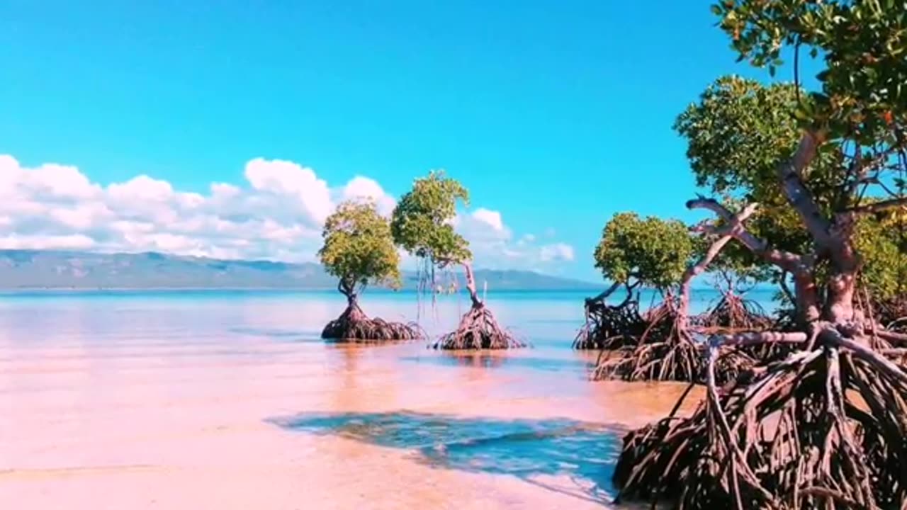 TOP 10 MOST BEAUTIFUL SANDBARS IN THE PHILIPPINES