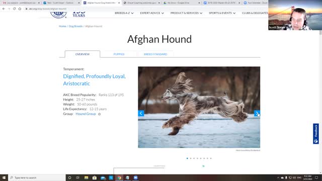 Learn 4 meanings of "AFGHAN" and 2 of "QUARRY"