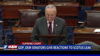 Republican & Democrat senators give reactions to Supreme Court Leak